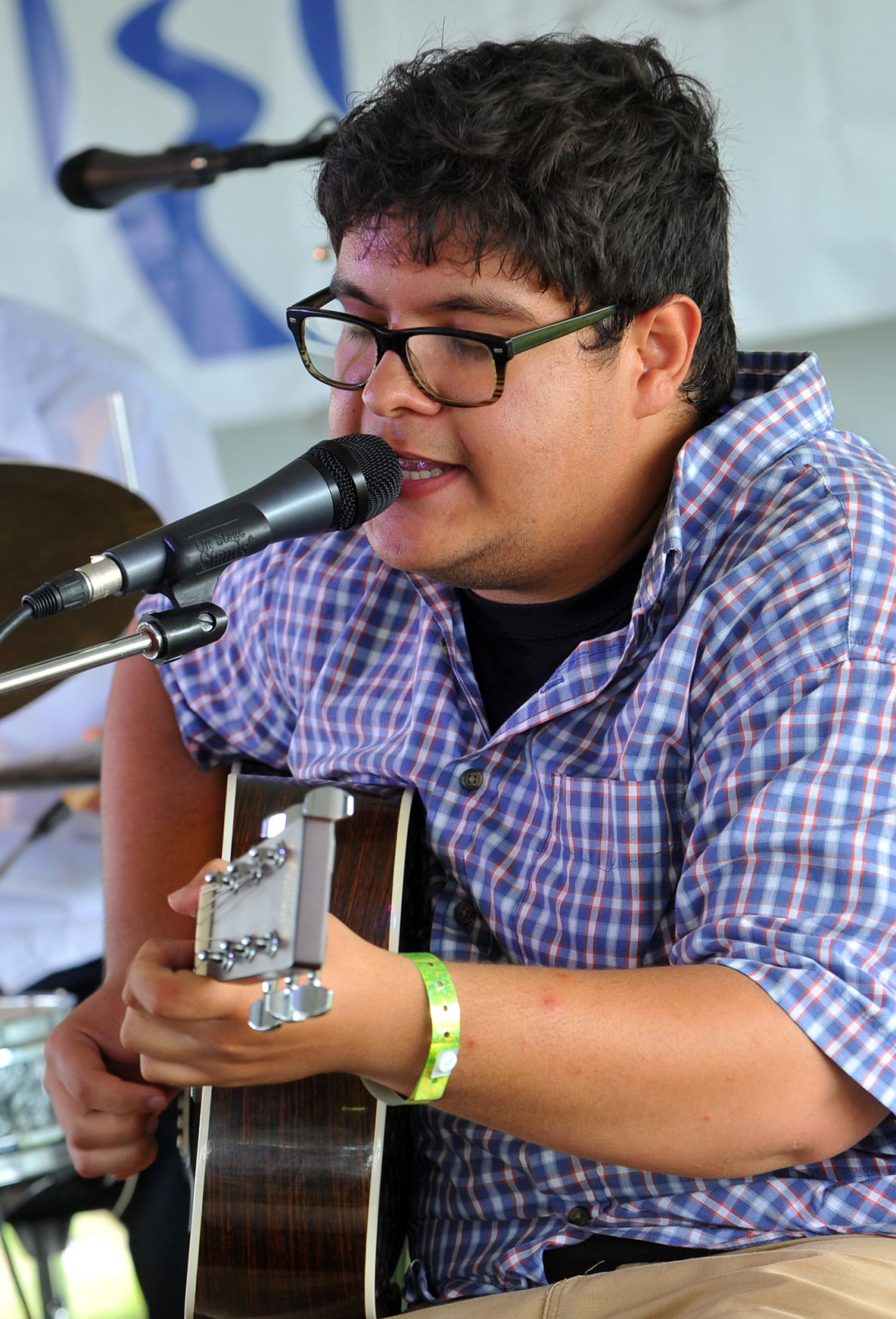 2019 Mississippi Valley Blues Festival